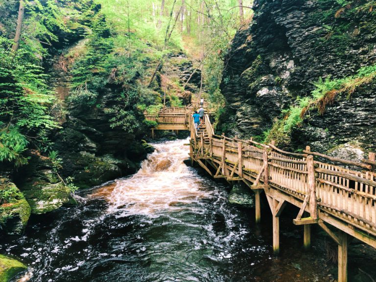 Several people walk on an elevated wooden boardwalk and stairs along the side of a fast-moving river surrounded by bright green forest.