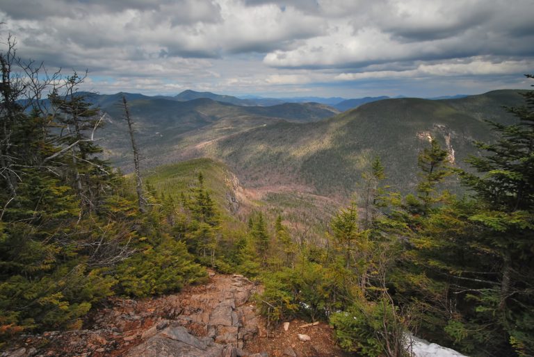 Relatively forested land made up of mostly pine trees with rolling mountains in the background and gray cloudy skies above.