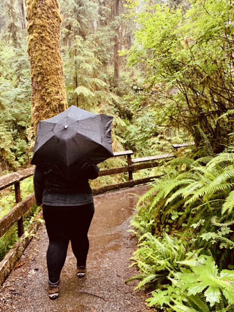 Woman walks on hiking trail holding umbrella