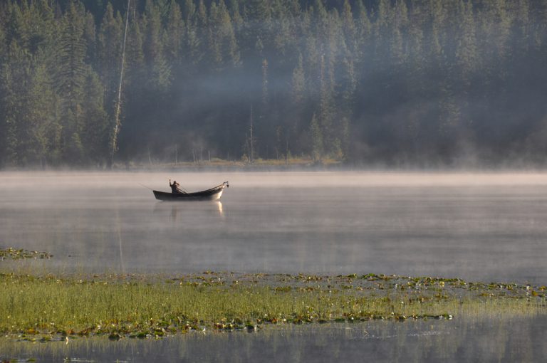 Fog lifts off the water of a lake with floating green plants, a single person in a boat sits with a fishing pole.