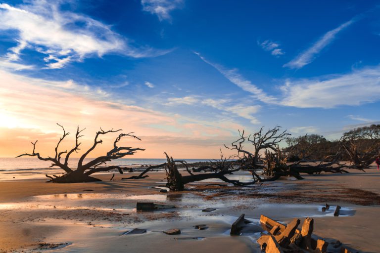 Sunrise view of Driftwood Beach in Jekyll Island, Georgia. Driftwood is popular with its long beach full of dead tree roots along ocean.