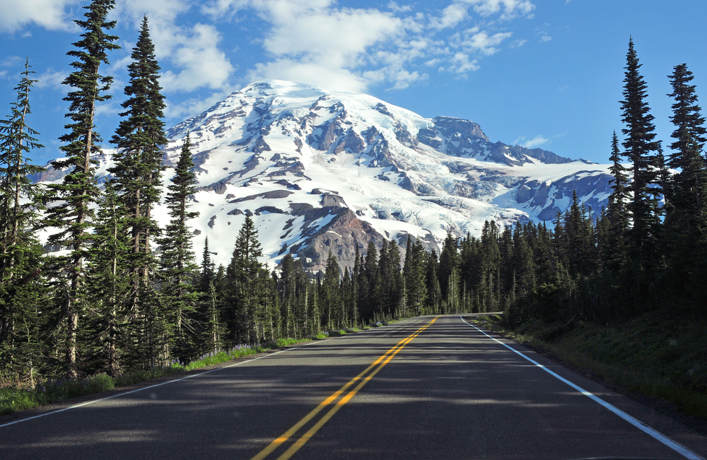 A road  winds through an evergreen forest in the foothills of a huge, snow-covered mountain.
