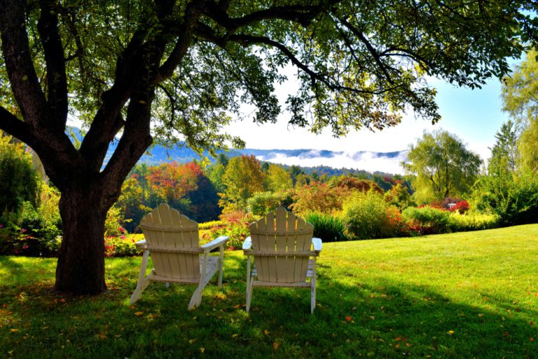 Two chairs sit in shade under a tree looking out over a forest turning to autumn colors.