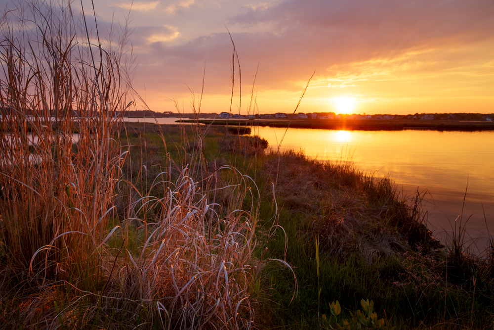 Sunset over the backwater in Delaware