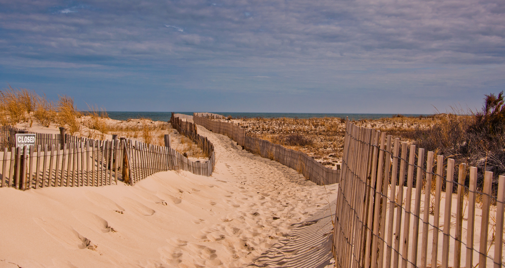 Path to the beach at Cape Henlopen State Park, Delaware  J