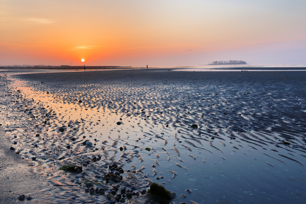 Overview of beautiful Silver Sands Beach at sunrise at low tide at Silver Sands State Park , Milford Connecticut, USA. Photo shows Charles Island in the background.