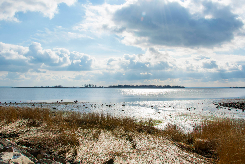 Beautiful summer day by the Long Island Sound at Calf Pasture Beach in Norwalk, Connecticut USA