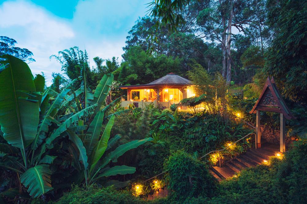A brightly lit tropical cabana in a forest with dense vegetation and a wooden walkway.