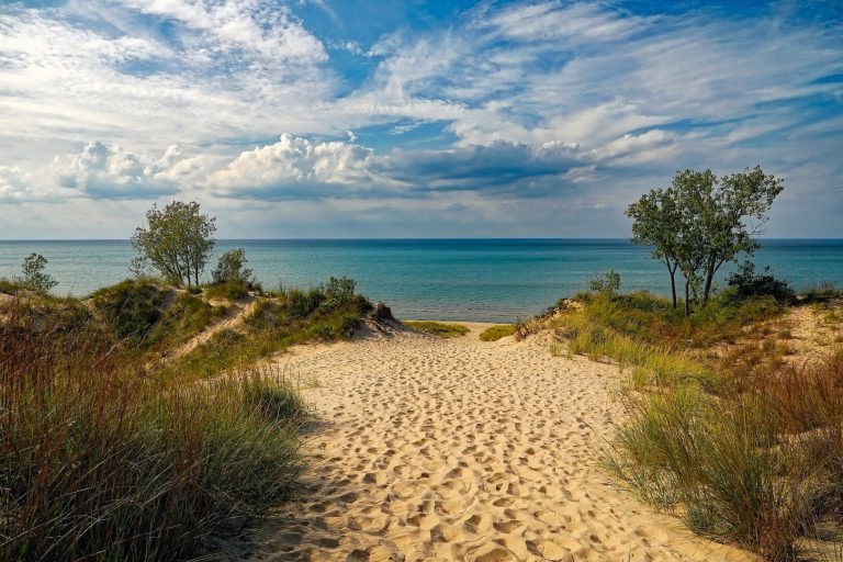 Indiana Dunes State Park