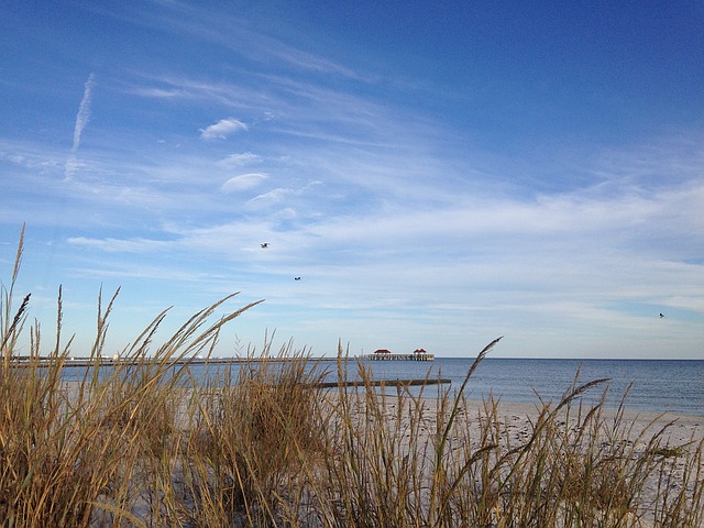 grasses and shoreline at Mississippi Gulf Coast