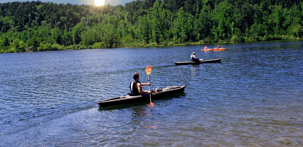 Kayaking On A Beautiful Lake with Sun over Trees