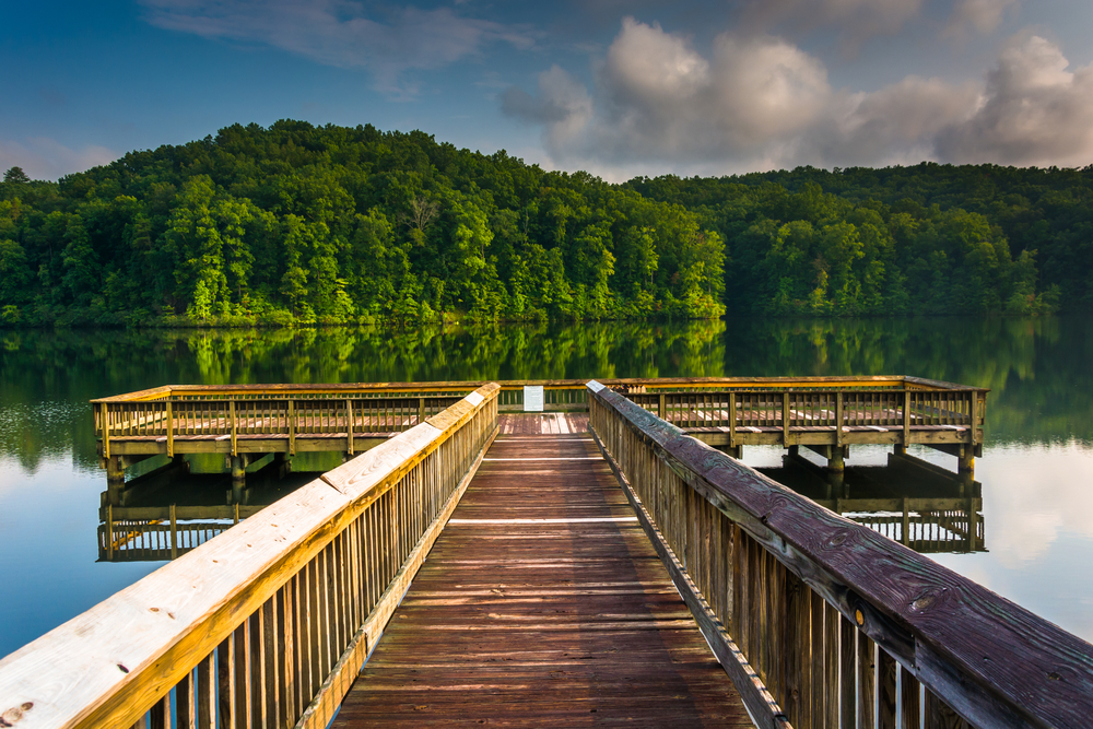 A wooden pier juts out into a lake surrounded by verdant green forests.