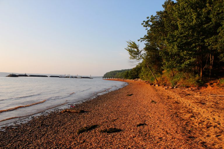 A scenic beach nearing dusk, the water rolling toward a sandy shore bordered with tall green trees.