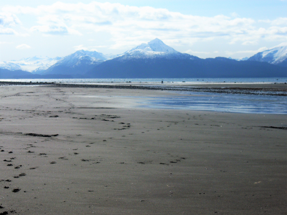 On Bishop's Beach in Homer, Alaska, looking out at Kachemak Bay and the Grewingk Glacier.