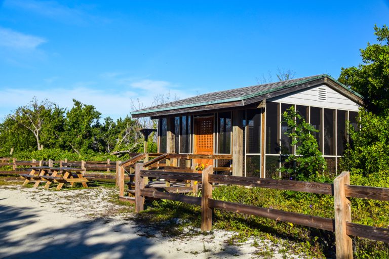 A beachside screened-in campsite with a low wooden fence, surrounded by green vegetation.