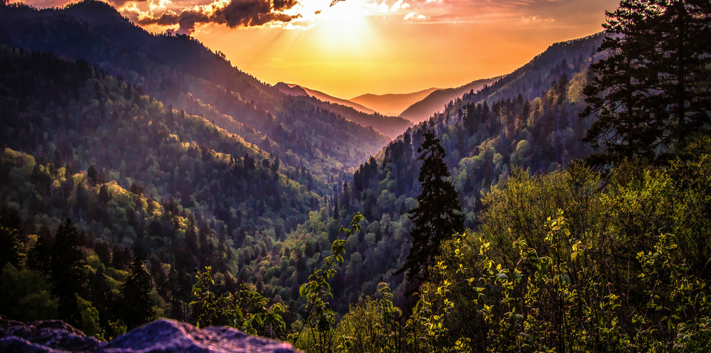 The sun setting over a vast mountain range covered in tall green trees.