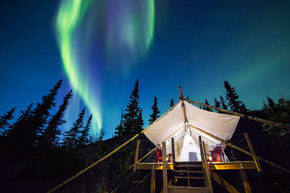 The green light of the aurora borealis glows in the night sky above a luxury tent illuminated by bright white lights. Trees surround the campsite.