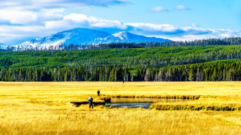 Fishermen cast lines in a river that winds through a flat plain covered in golden grass, a distant forest and mountain range stretching across the horizon under a bright blue sky.