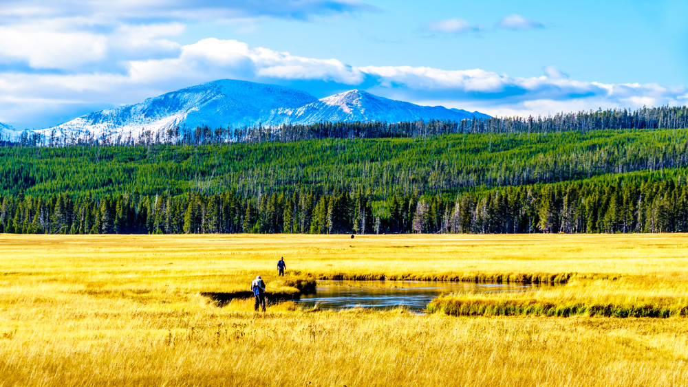 Fishermen cast lines in a river that winds through a flat plain covered in golden grass, a distant forest and mountain range stretching across the horizon under a bright blue sky.