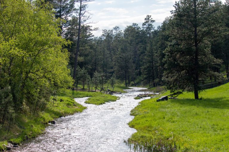 A small river flows past green, grassy fields and a stand of tall green trees.