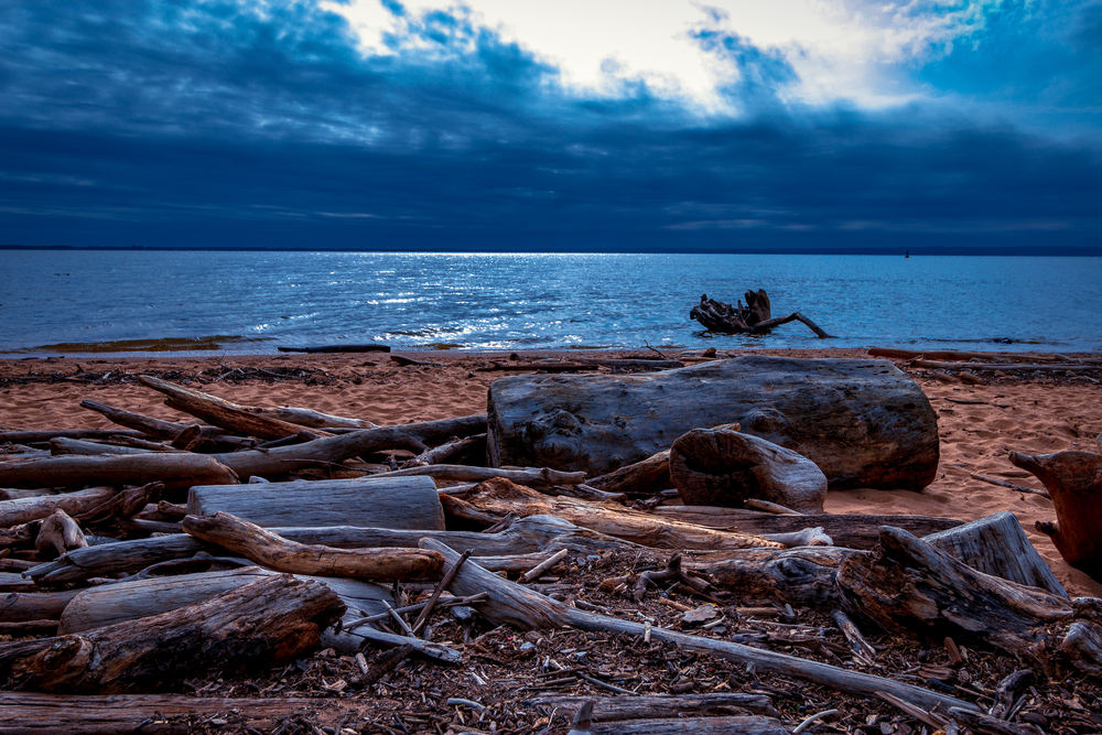 Hiking in Elk Neck State Park in Maryland, I happened upon some driftwood on the beach under some beautiful skies.
