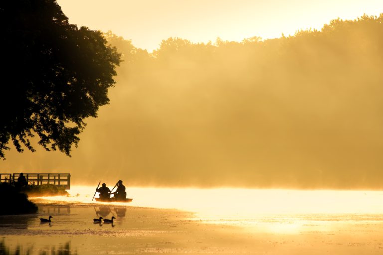 Two people in a boat near the shore start rowing into foggy waters, colored gold by the rising sun.