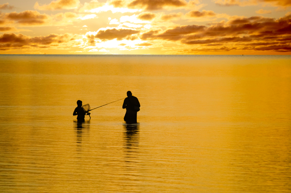 A parent and child stand in open ocean water, casting fishing lines. The water and sky are orange and yellow with the rising sun.