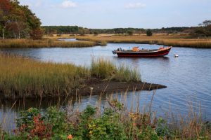 A black and red fishing boat sits in the middle of a marshy pond under a cloudy sky.