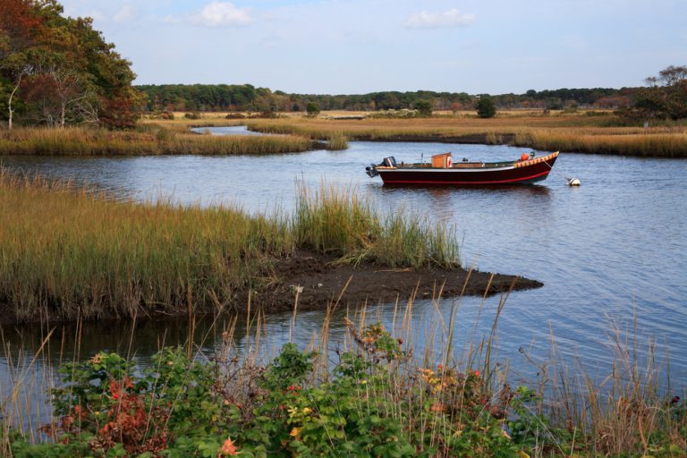 A black and red fishing boat sits in the middle of a marshy pond under a cloudy sky.