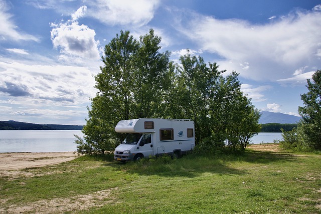 a camper parked by a shady tree