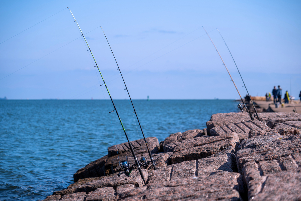 Fishing rods stuck into rocky pavement bricks at the edge of a bright blue body of water. Several people can be seen in the distance.