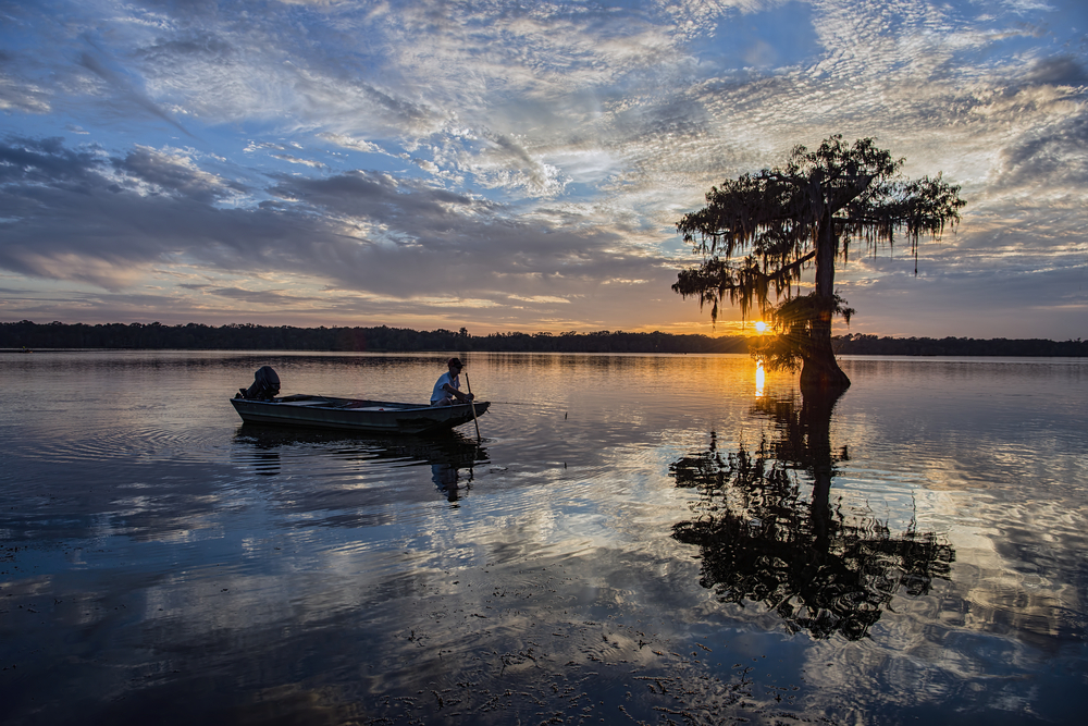 A fisherman leans a long stick over the edge of his boat near a submerged tree as the sun sets over the lake's horizon line.