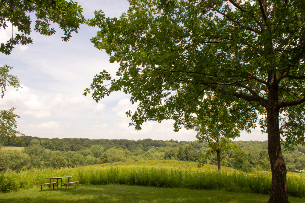 OXFORD, IOWA / UNITED STATES - July 3 2018: Picnic table overlooking meadow in F.W. Kent Park