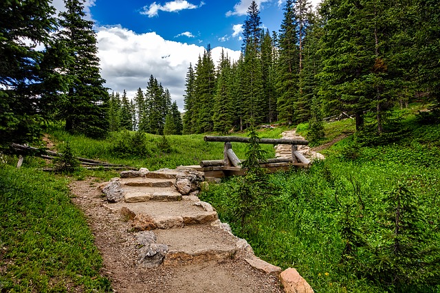a trail in Rocky Mountain National Park with green trees and grass surrounding it 
