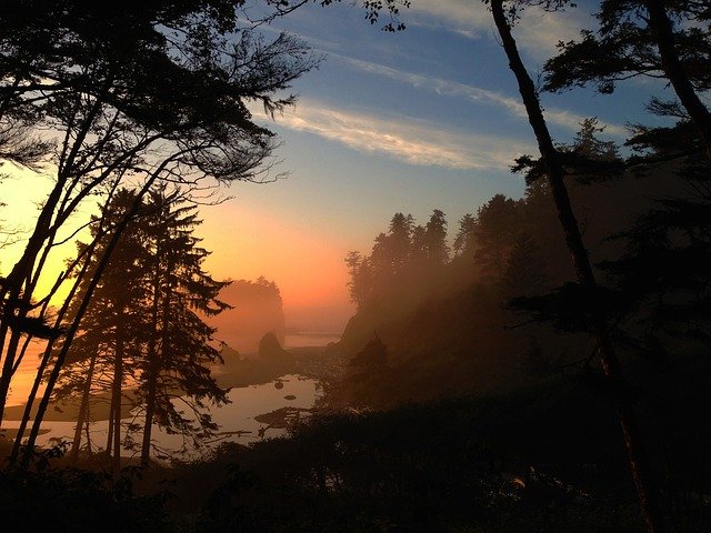 Olympic National Park at sunset with fog showing silhouettes of trees and rocky shore