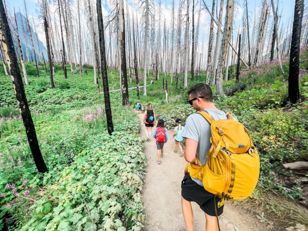 Family hikes through woods at Glacier National Park