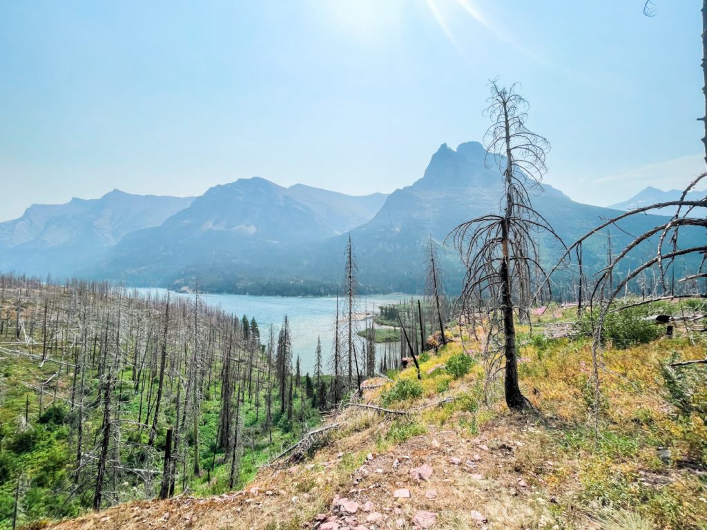 Landscape of Glacier National Park