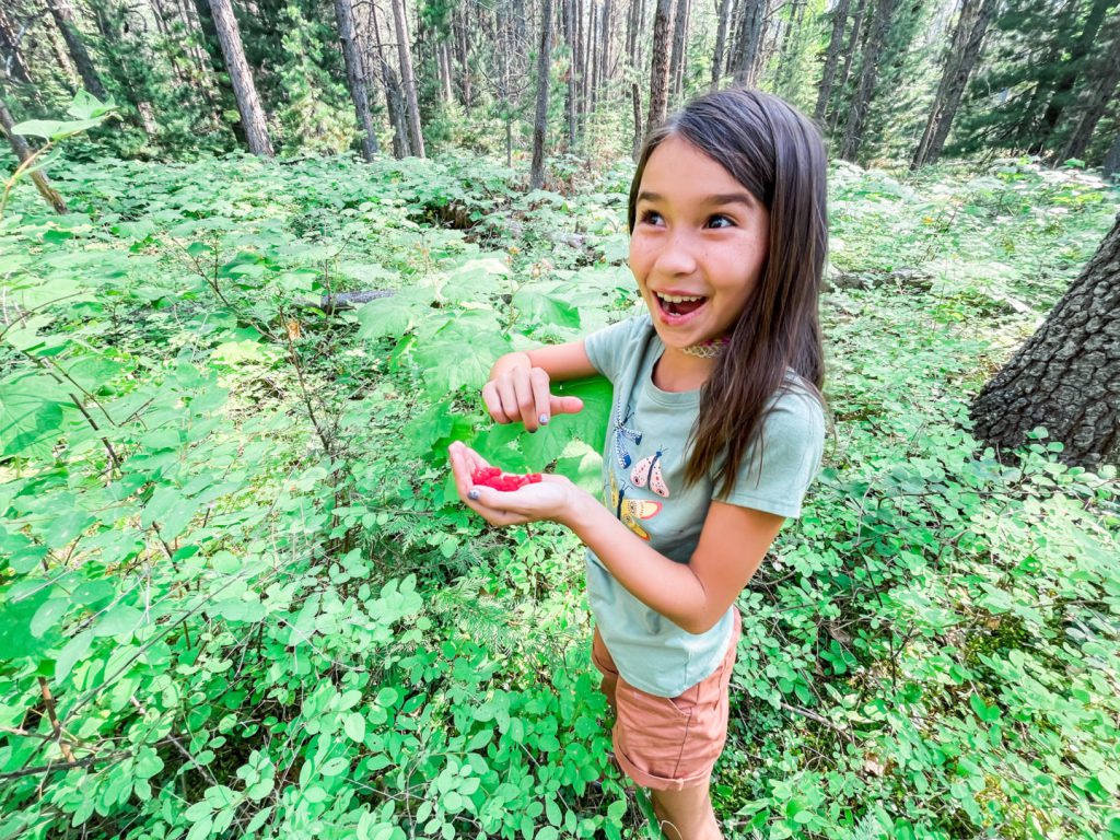 Little girl holds berries at Glacier National Park