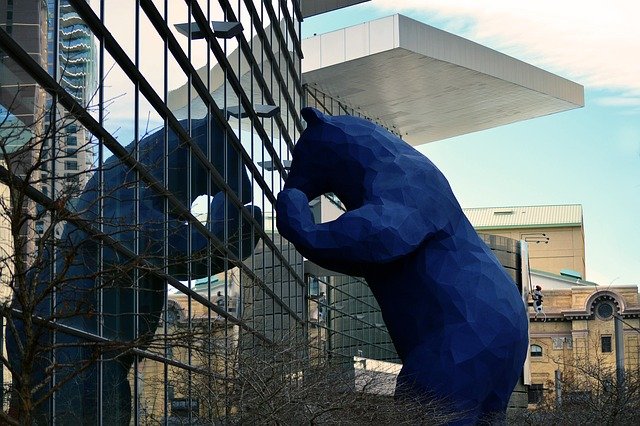 a large blue bear sculpture peers in a window in downtown Denver