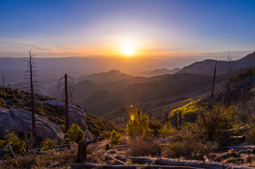 The sun rises above Mt. Lemmon, AZ.