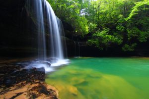 Upper Caney Creek Falls in the William B Bankhead National Forest of Alabama