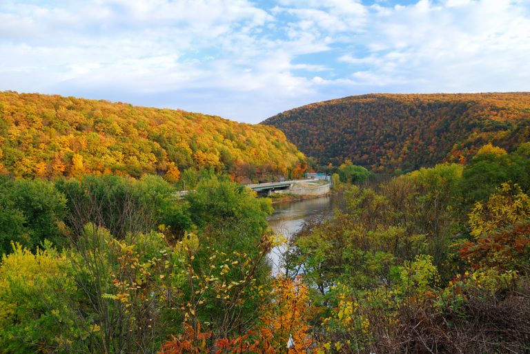 A river meanders through a valley of two hills covered in autumn leaves. Greenery and yellow flowers sit in the foreground.