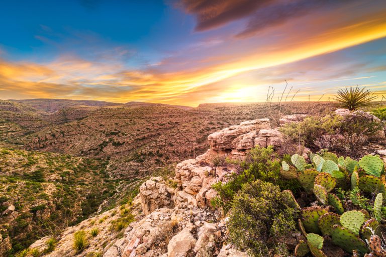 Cacti and green desert plants grow on a cliff overlooking rocky terrain dotted with greenery under a sunset.