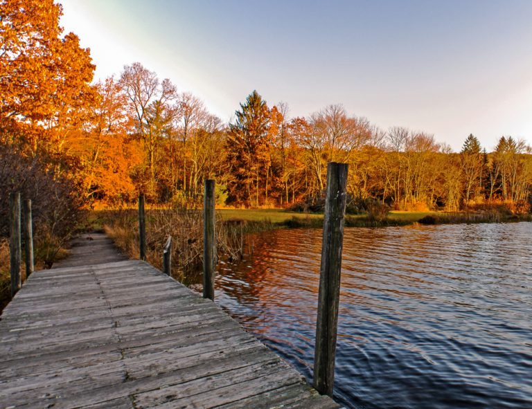 A wooden dock floats on a blue lake surrounded by orange and yellow trees.