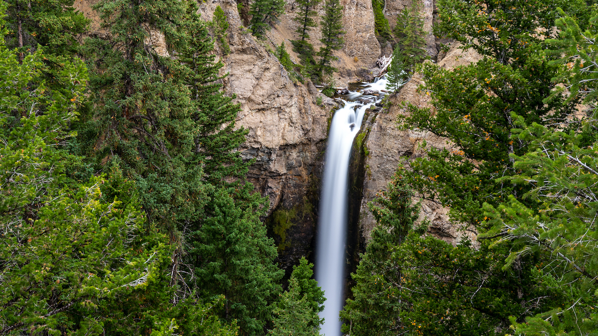 You Can Hike Through an Indoor Forest Past a 130-foot Waterfall