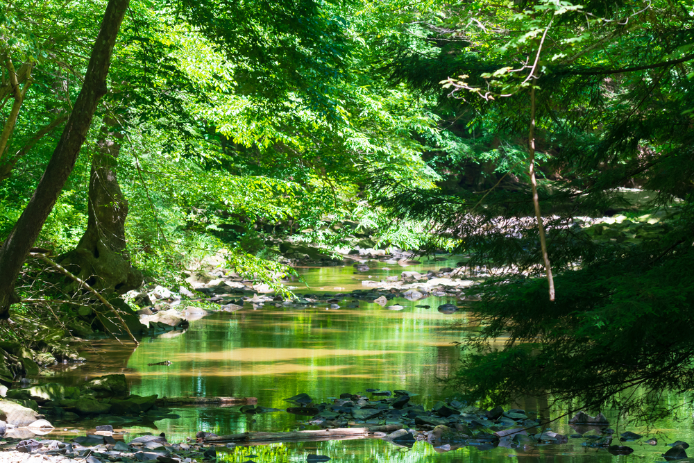 A scenic view of Turkey Creek, located in the Shawnee State Park, Friendship, Ohio.