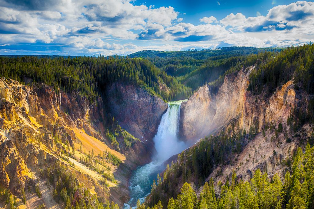 Lower Falls of the Yellowstone National Park Wyoming