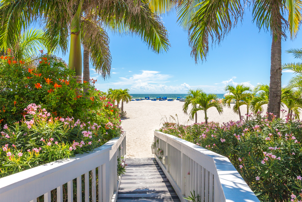 A boardwalk with a white railing bordered by pink and red flowers and palm trees leading to a sandy beach.