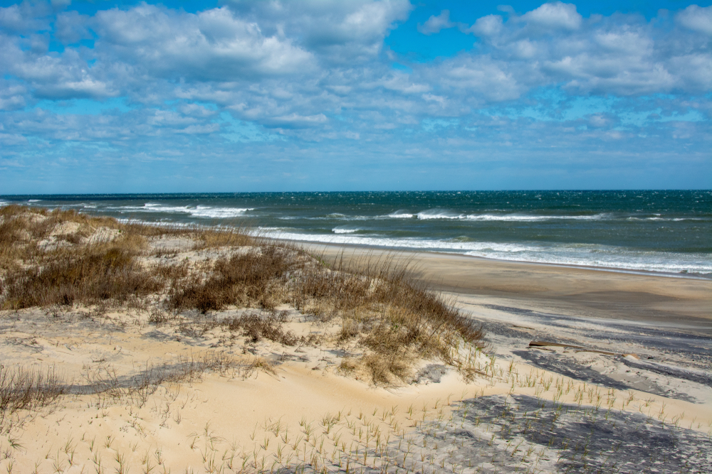 Windy day at the sand dunes on Pea Island in the Outer Banks of North Carolina. Pea Island is part of the protected Hatteras National Seashore.