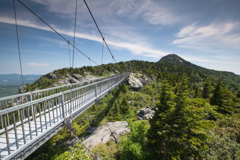 Gray metal bridge with cables stretches to a distant mountainside with rocks and tall trees
